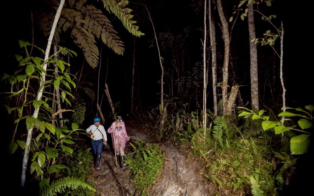 Amazonas Ecologico 4 Noches 5 Dias 2025