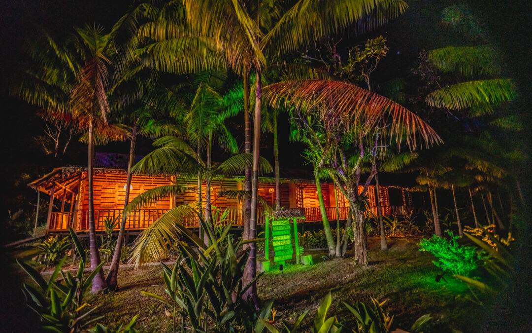 AMAZONAS CAMINANTES PARA GRUPO DESPUES DE 6 – 4 NOCHES / 5 DÍAS
