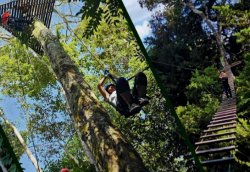 AMAZONAS ECOLOGICO 4 NOCHES 5 DIAS / OPCION 1
