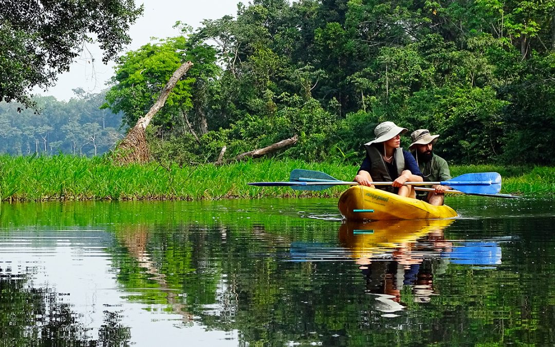 KAYAK + VICTORIA REGIA