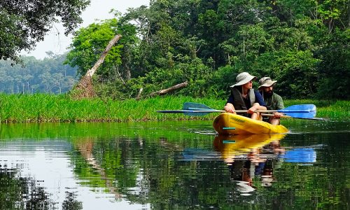 KAYAK + VICTORIA REGIA