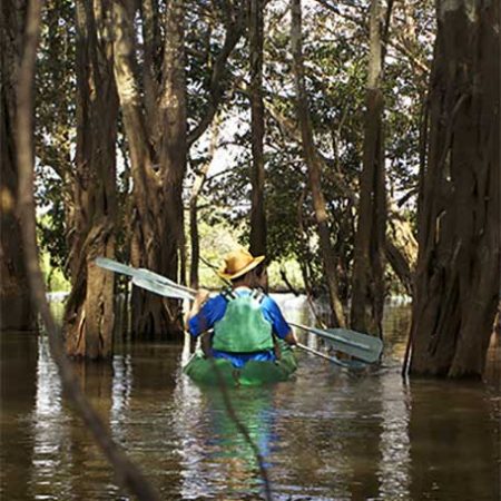 KAYAK
