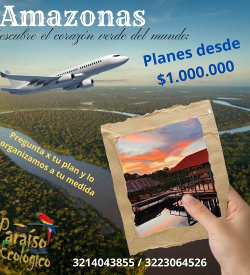 WhatsApp Image 2025-01-22 at 9.41.31 AM