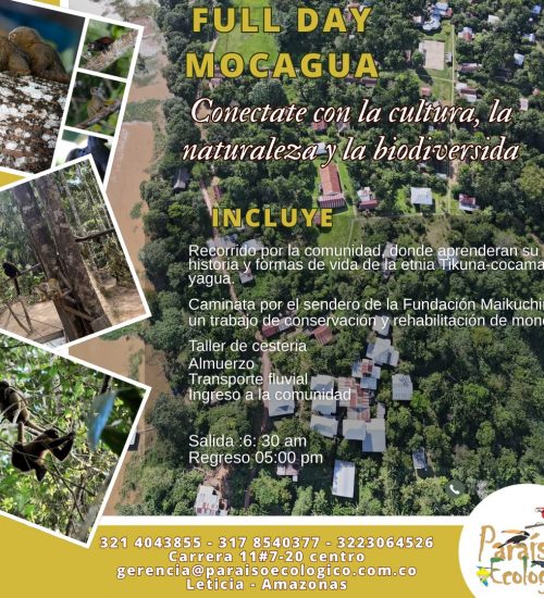 WhatsApp Image 2025-11-14 at 9.35.11 AM